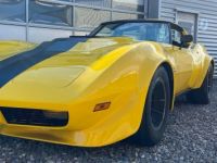 Chevrolet Corvette C3 1975 8.9 LITER / 540cui - WIDEBODY H Zul. - <small></small> 52.900 € <small>TTC</small> - #1