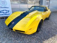 Chevrolet Corvette C3 1975 8.9 LITER / 540cui - WIDEBODY H Zul. - <small></small> 52.900 € <small>TTC</small> - #6