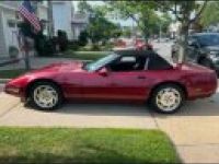 Chevrolet Corvette C4 - <small></small> 16.000 € <small>TTC</small> - #5