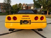 Chevrolet Corvette C4 - <small></small> 20.000 € <small>TTC</small> - #6