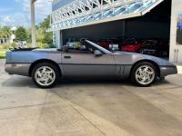 Chevrolet Corvette C4 - <small></small> 29.000 € <small>TTC</small> - #4