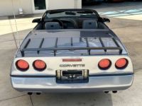 Chevrolet Corvette C4 - <small></small> 29.000 € <small>TTC</small> - #7