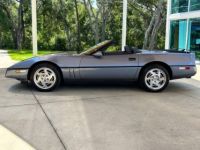 Chevrolet Corvette C4 - <small></small> 29.000 € <small>TTC</small> - #9