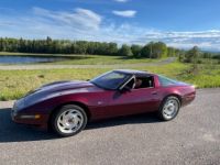 Chevrolet Corvette C4 - <small></small> 46.000 € <small>TTC</small> - #2