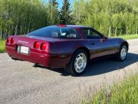 Chevrolet Corvette C4 - <small></small> 46.000 € <small>TTC</small> - #5