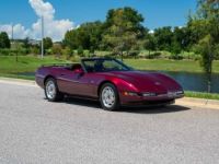 Chevrolet Corvette C4 - <small></small> 35.000 € <small>TTC</small> - #9