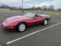 Chevrolet Corvette C4 - <small></small> 24.000 € <small>TTC</small> - #4