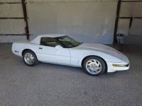 Chevrolet Corvette C4 - <small></small> 31.000 € <small>TTC</small> - #24