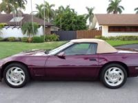 Chevrolet Corvette C4 - <small></small> 27.900 € <small>TTC</small> - #4