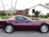 Chevrolet Corvette C4 - <small></small> 27.900 € <small>TTC</small> - #8