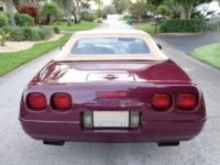 Chevrolet Corvette C4 - <small></small> 27.900 € <small>TTC</small> - #13