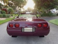 Chevrolet Corvette C4 - <small></small> 27.900 € <small>TTC</small> - #14