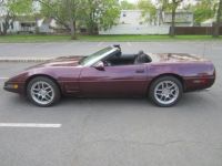 Chevrolet Corvette C4 - <small></small> 18.300 € <small>TTC</small> - #8