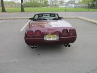 Chevrolet Corvette C4 - <small></small> 18.300 € <small>TTC</small> - #10