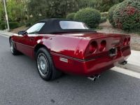 Chevrolet Corvette C4 - <small></small> 22.400 € <small>TTC</small> - #6