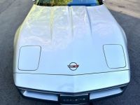 Chevrolet Corvette C4 - <small></small> 20.600 € <small>TTC</small> - #19