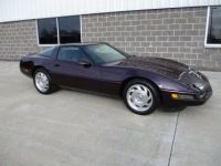 Chevrolet Corvette C4 - <small></small> 29.200 € <small>TTC</small> - #13