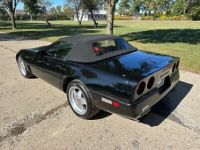 Chevrolet Corvette C4 - <small></small> 44.400 € <small>TTC</small> - #8