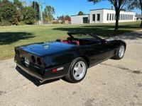 Chevrolet Corvette C4 - <small></small> 44.400 € <small>TTC</small> - #11