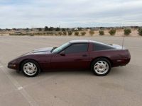 Chevrolet Corvette C4 - <small></small> 21.100 € <small>TTC</small> - #2