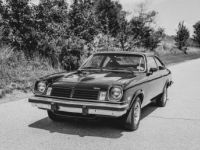 Chevrolet Cosworth Vega - <small></small> 24.000 € <small>TTC</small> - #8