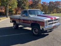 Chevrolet K10 Pickup  - <small></small> 45.000 € <small>TTC</small> - #3