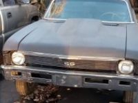 Chevrolet Nova - <small></small> 20.000 € <small>TTC</small> - #6