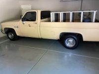 Chevrolet Pick Up R10  - <small></small> 22.000 € <small>TTC</small> - #1