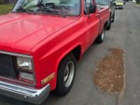 Chevrolet Pick Up R10  - <small></small> 15.600 € <small>TTC</small> - #3