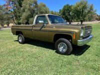 Chevrolet Pick Up Truck  - <small></small> 22.000 € <small>TTC</small> - #1