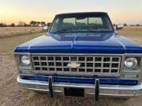 Chevrolet Pick Up Truck  - <small></small> 19.000 € <small>TTC</small> - #1