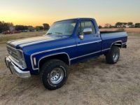 Chevrolet Pick Up Truck  - <small></small> 19.000 € <small>TTC</small> - #2