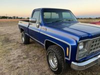 Chevrolet Pick Up Truck  - <small></small> 19.000 € <small>TTC</small> - #3