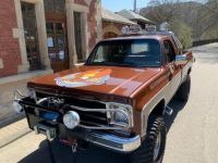 Chevrolet Silverado Fall Guy replica - <small></small> 40.000 € <small>TTC</small> - #3