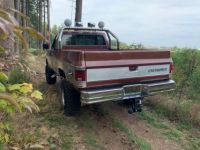 Chevrolet Silverado Fall Guy replica - <small></small> 40.000 € <small>TTC</small> - #13