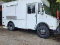 Chevrolet Van P30 step diesel  - <small></small> 44.500 € <small>TTC</small> - #13