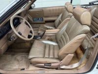 Chrysler Le Baron - <small></small> 17.700 € <small>TTC</small> - #31