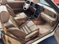 Chrysler Le Baron - <small></small> 17.700 € <small>TTC</small> - #39