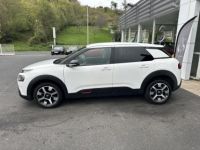 Citroen C4 Cactus 1.5 BlueHDi - BVA Shine - Caméra AR + CarPlay - <small></small> 14.990 € <small>TTC</small> - #4