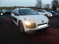 Citroen C4 Cactus 1.6 BLUE HDI 100CH SHINE - <small></small> 9.800 € <small>TTC</small> - #2