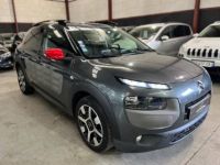 Citroen C4 Cactus PureTech 110 Shine Edition S&S - <small></small> 8.990 € <small>TTC</small> - #3