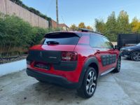 Citroen C4 Cactus PureTech 110 SS EAT6 Shine - <small></small> 10.990 € <small>TTC</small> - #5