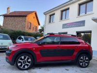 Citroen C4 Cactus PureTech 110 SS EAT6 Shine - <small></small> 10.990 € <small>TTC</small> - #8