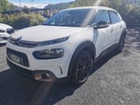 Citroen C4 Cactus PureTech 110ch S&S Origins E6.d - <small></small> 10.999 € <small>TTC</small> - #1