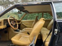 De Tomaso Longchamp - <small></small> 64.500 € <small>TTC</small> - #9