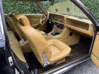 De Tomaso Longchamp - <small></small> 64.500 € <small>TTC</small> - #13