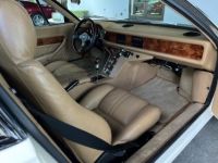 De Tomaso Pantera - <small></small> 139.000 € <small>TTC</small> - #19