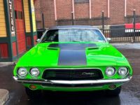 Dodge Challenger - <small></small> 48.500 € <small>TTC</small> - #2