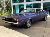 Dodge Challenger - <small></small> 77.000 € <small>TTC</small> - #12