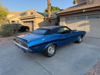 Dodge Challenger - <small></small> 79.000 € <small>TTC</small> - #2